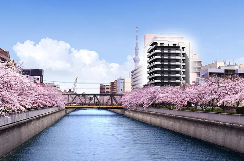 サンクレイドル木場公園外観	